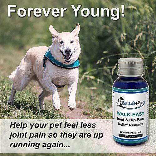 WALK-EASY Hip and Joint Pain Relief Supplement for Dogs and Cats