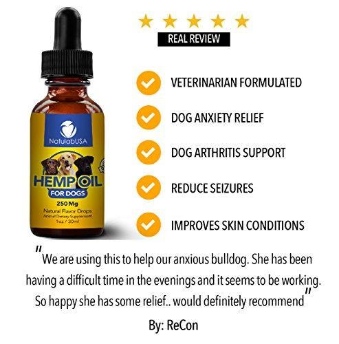 NatulabUSA - Hemp Oil For Dogs & Pets