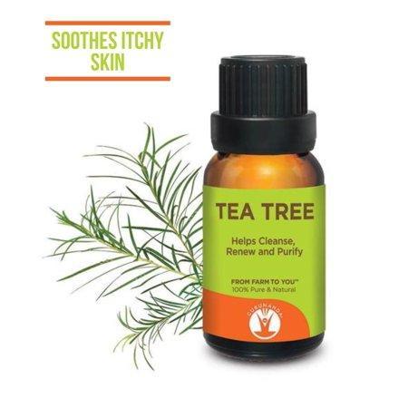 CBD Gurunanda Tea Tree Essential Oil, 0.5 Oz