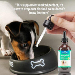 Hemp Oil for Dogs and Cats (250 mg) Organic Dog Hemp Oil for Anxiety Relief, Calming and Joint Health - Easily Apply to Treats - Grown in USA