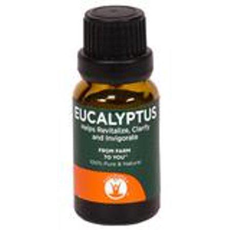 Gurunanda Eucalyptus Essential Oil, 0.5 Oz