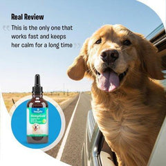 Hemp Oil for Dogs and Cats (250 mg) Organic Dog Hemp Oil for Anxiety Relief, Calming and Joint Health - Easily Apply to Treats - Grown in USA