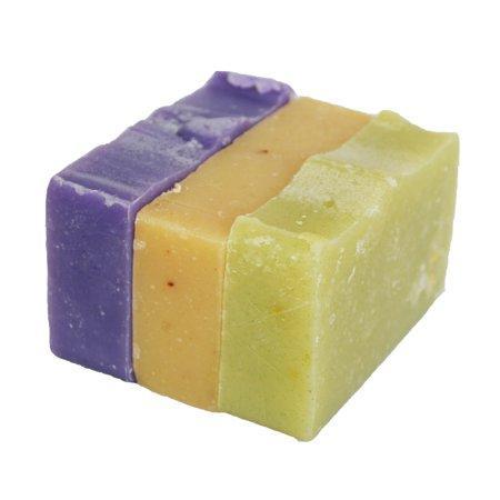 Old fashioned Solid Shampoo Bar Variety Pack of 3 (3.5 Oz each) – Hemp Oil Shampoo, Color treated hair Purple Shampoo, Tea Tree Oil Shampoo - Organic and All-Natural