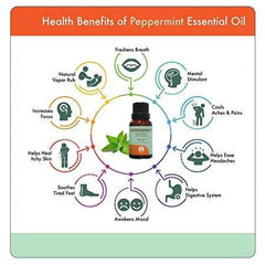 Gurunanda Aromatherapy Essential Peppermint Oil, 100% Pure and Natural, 15 ml