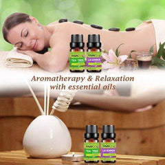 Aromatherapy Essential Oils Set 100% Pure Therapeutic Grade Oils -Lavender, Peppermint,Lemongrass,Tea Tree,Eucalyptus,Frankincense Diffuser Oils , 6 count - 10 ml