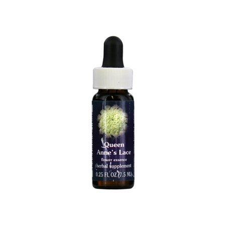 Flower Essence Queen Annes Lace Herbal Supplement Dropper - 0.25 Oz