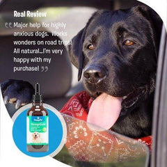 Hemp Oil for Dogs and Cats (250 mg) Organic Dog Hemp Oil for Anxiety Relief, Calming and Joint Health - Easily Apply to Treats - Grown in USA