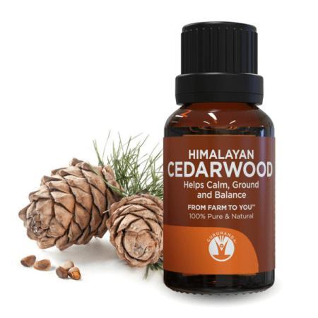 Gurunanda Himalayan Cedarwood Essential Oil, 0.5 Oz